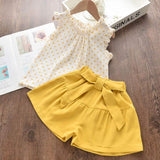 Bear Leader Girls Clothing Sets 2020 Summer Kids Clothes Floral Chiffon Halter+Embroidered Shorts Straw Children Clothing