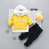 LZH Toddler Boys Clothes Autumn Winter Kids Girls Clothes Hooded+Pant 2pcs Outfit Suit Children Clothing For Boys Clothing Sets